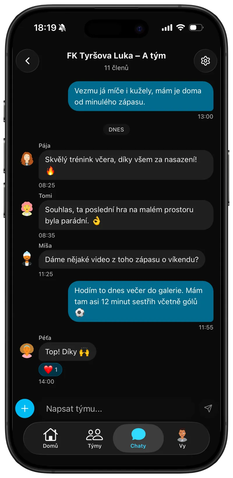 Týmový chat